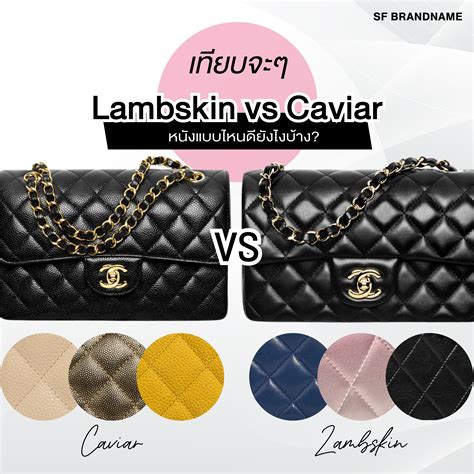 chanel 19 lambskin vs goatskin|chanel calfskin vs caviar.